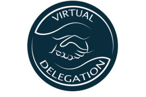 Virtual Delegation Logo